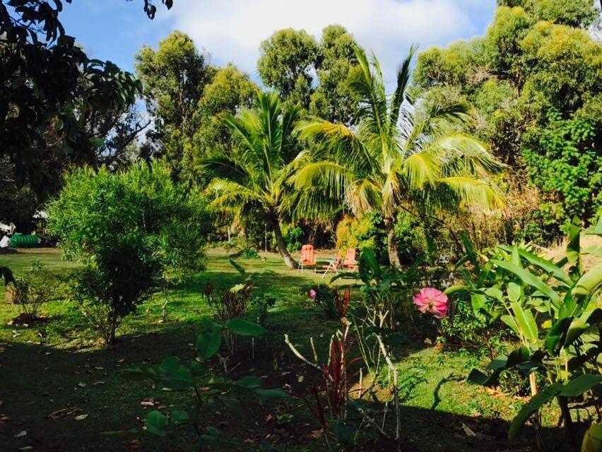 Hare Pakoba Guest House Hanga Roa Exterior photo
